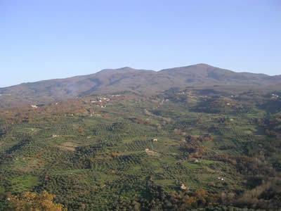 Vista della Montegna e degli oliveti da Montegiovi
